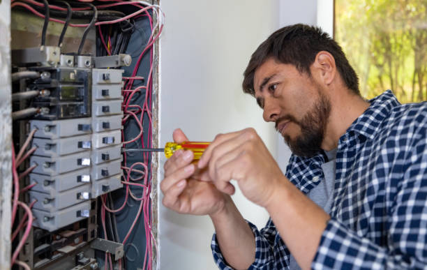 Best Ceiling Fan Installation Electrician  in Holton, KS